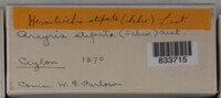 Image Associated With the Occurence